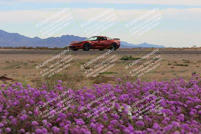 media/Jan-08-2023-SCCA SD (Sun) [[8f6a5b9391]]/Advanced Group/Session 2 (Short Straight)/